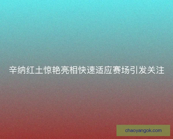 辛纳红土惊艳亮相快速适应赛场引发关注