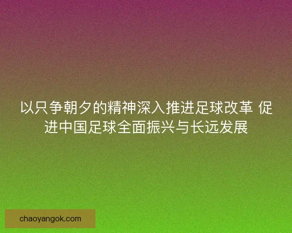 以只争朝夕的精神深入推进足球改革 促进中国足球全面振兴与长远发展