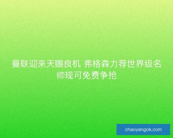 曼联迎来天赐良机 弗格森力荐世界级名帅现可免费争抢